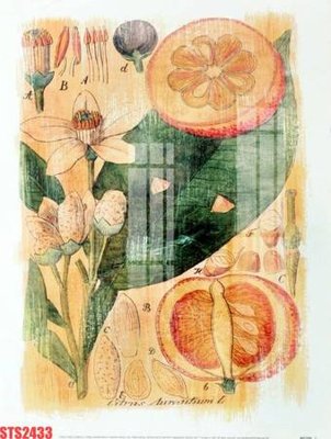 Download file Tranh sơn dầu phương tây tổng hợp STS2433 (gốc) in mica cao cấp