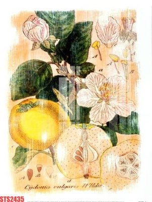 File gốc in ấn Tranh sơn dầu phương tây tổng hợp STS2435 chuẩn màu CMYK