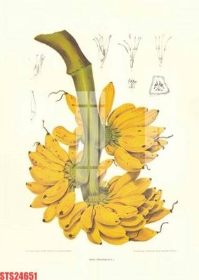 File tranh Tranh sơn dầu phương tây tổng hợp STS24651 (gốc) chủ đề tĩnh vật