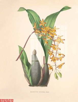 File PSD Tranh sơn dầu phương tây tổng hợp STS25272 (gốc) cho in quảng cáo