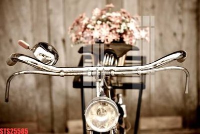 File gốc Tranh sơn dầu phương tây tổng hợp STS25585 (in 3D) nghệ thuật