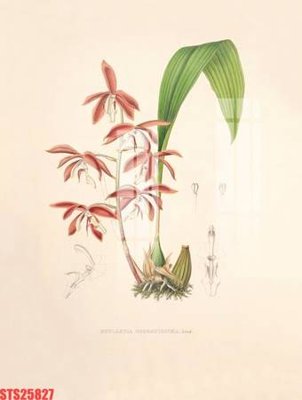 Tải file Tranh sơn dầu phương tây tổng hợp STS25827 (ảnh gốc) in gạch men