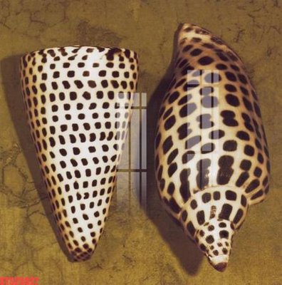 File in mica Tranh sơn dầu phương tây tổng hợp STS25927 (bản gốc) siêu trong