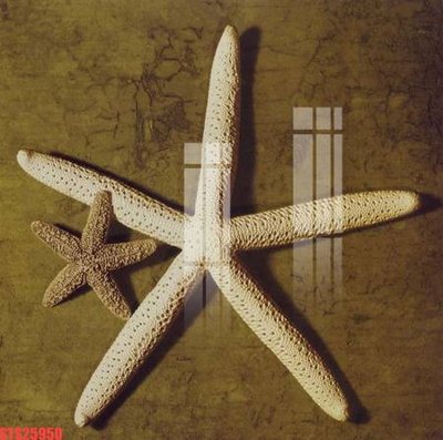 File in trần Tranh sơn dầu phương tây tổng hợp STS25950 (bản gốc) đại dương