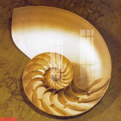 Tải file Tranh sơn dầu phương tây tổng hợp STS25952 (ảnh gốc) in gạch 3D