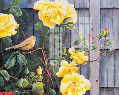 Cung cấp file tranh gốc Tranh sơn dầu phương tây tổng hợp STS2683 độc quyền