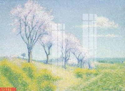 File in trần Tranh sơn dầu phương tây tổng hợp STS27184 (bản gốc) bầu trời