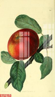 Download file Tranh sơn dầu phương tây tổng hợp STS2753 (chuẩn in) Tranh sơn dầu phương tây tổng hợp STS2753