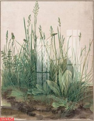 Ảnh gốc Tranh sơn dầu phương tây tổng hợp STS2754 (độ nét cao) in tráng gương