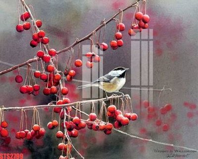 Tải file gốc Tranh sơn dầu phương tây tổng hợp STS2799 (in tráng gương) siêu đẹpFile tranh gốc Tranh sơn dầu phương tây tổng hợp STS2799 chất lượng cao