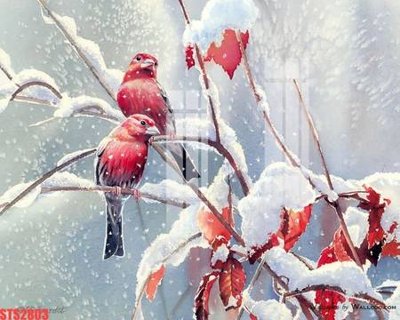 File gốc Tranh sơn dầu phương tây tổng hợp STS2803 (phong cách) cổ điển