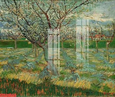 Tải file Tranh sơn dầu phương tây tổng hợp STS29559 (gốc) làm file tranh quảng cáo