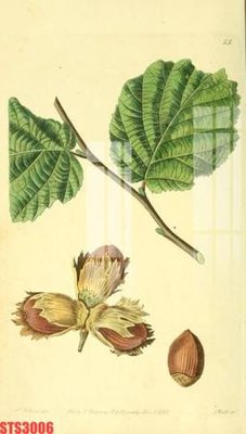 Tải về file tranh gốc Tranh sơn dầu phương tây tổng hợp STS3006 (để in quảng cáo)