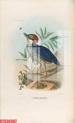 Hình ảnh gốc Tranh sơn dầu phương tây tổng hợp STS30367 (để in khổ lớn)