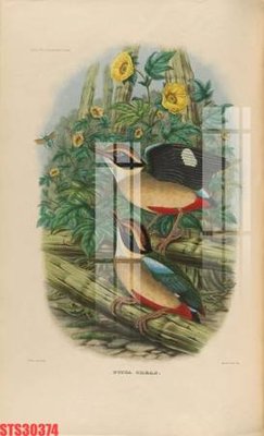 Tải file gốc Tranh sơn dầu phương tây tổng hợp STS30374 (in tráng gương) siêu đẹpFile tranh gốc Tranh sơn dầu phương tây tổng hợp STS30374 chất lượng cao