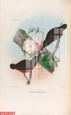 File ảnh gốc Tranh sơn dầu phương tây tổng hợp STS30377 (chuyên in mica)