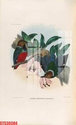 Tải file gốc Tranh sơn dầu phương tây tổng hợp STS30384 (bản PSD) còn layer