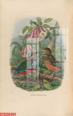 Tải file gốc Tranh sơn dầu phương tây tổng hợp STS30391 (in tráng gương) siêu đẹpFile tranh gốc Tranh sơn dầu phương tây tổng hợp STS30391 chất lượng cao