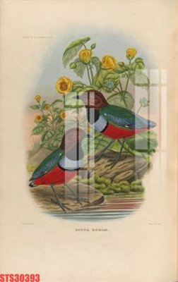 File gốc Tranh sơn dầu phương tây tổng hợp STS30393 (in lụa) tranh thuận buồm