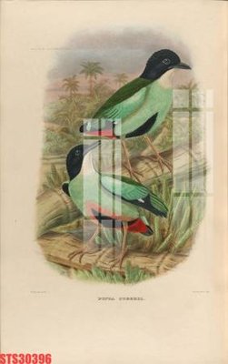 Tải file gốc Tranh sơn dầu phương tây tổng hợp STS30396 (in tráng gương) cao cấpFile gốc Tranh sơn dầu phương tây tổng hợp STS30396 (in ấn) phiên bản độc quyền