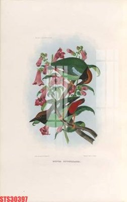 Ảnh gốc Tranh sơn dầu phương tây tổng hợp STS30397 (nét căng) in mica