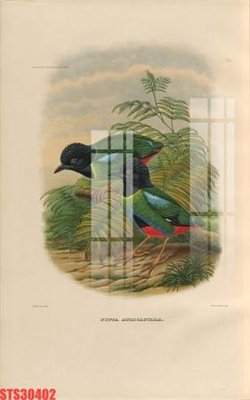 File gốc Tranh sơn dầu phương tây tổng hợp STS30402 (cho in ấn) từ Filetranh.com