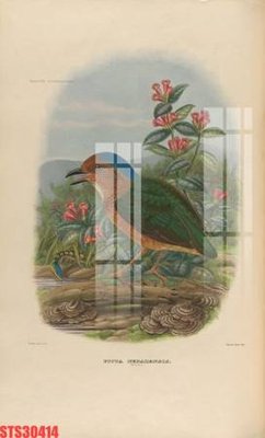 File gốc Tranh sơn dầu phương tây tổng hợp STS30414 (in lụa) hoa văn cổ điển