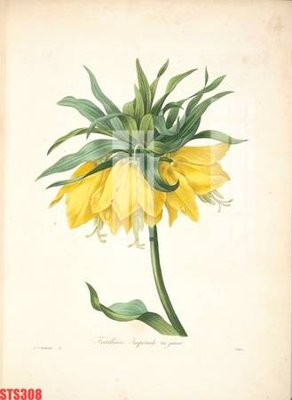 File tranh Tranh sơn dầu phương tây tổng hợp STS308 (bản gốc) in canvas