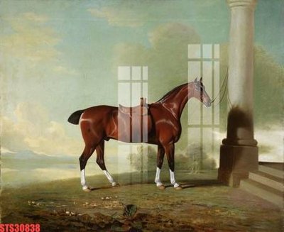 File gốc Tranh sơn dầu phương tây tổng hợp STS30838 (ảnh chi tiết) để in lụa