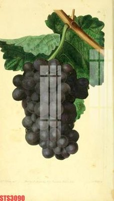 Tải file Tranh sơn dầu phương tây tổng hợp STS3090 (PSD) cho in ấn quảng cáo