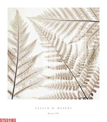 Download file ảnh gốc Tranh sơn dầu phương tây tổng hợp STS31183 để in ấn