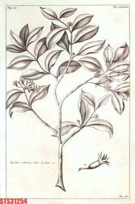 File gốc Tranh sơn dầu phương tây tổng hợp STS31254 (cho in 3D) độc đáo