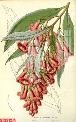 File PSD Tranh sơn dầu phương tây tổng hợp STS31274 (chất lượng in ấn)