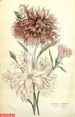 Download file ảnh gốc Tranh sơn dầu phương tây tổng hợp STS31275 để in ấn