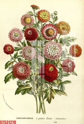 Tệp tin gốc Tranh sơn dầu phương tây tổng hợp STS31278 (chất lượng) Tranh sơn dầu phương tây tổng hợp STS31278