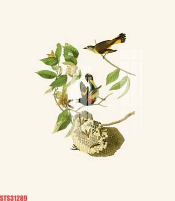 File PSD Tranh sơn dầu phương tây tổng hợp STS31289 (bản gốc) đã tách nền