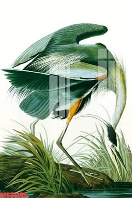 File tranh Tranh sơn dầu phương tây tổng hợp STS31295 (ảnh gốc) chi tiết rõ ràng