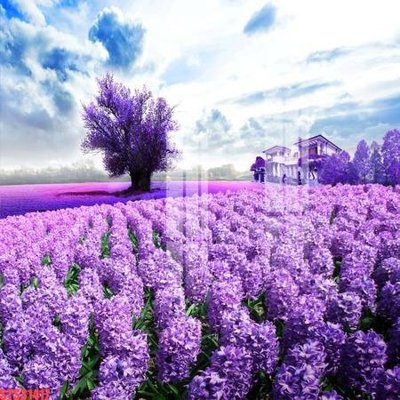 File tranh Tranh sơn dầu phương tây tổng hợp STS31417 (file gốc) chủ đề phong thủy