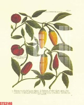 Tải file Tranh sơn dầu phương tây tổng hợp STS3146 (gốc) làm file quảng cáo