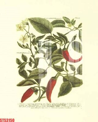 File gốc Tranh sơn dầu phương tây tổng hợp STS3150 (ảnh chi tiết) để in lụa