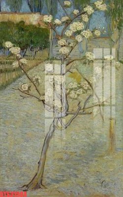 File in lụa Tranh sơn dầu phương tây tổng hợp STS31504 (chất lượng cao) Tranh sơn dầu phương tây tổng hợp STS31504