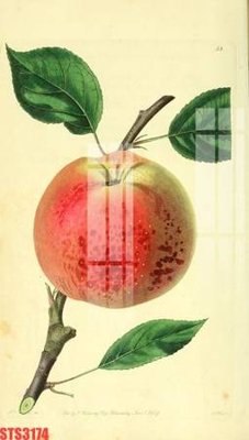 File tranh in mica Tranh sơn dầu phương tây tổng hợp STS3174 (độ phân giải cao)