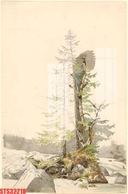 File in mica Tranh sơn dầu phương tây tổng hợp STS32218 (ảnh gốc) đẹp