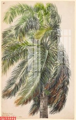 Tải về file tranh gốc Tranh sơn dầu phương tây tổng hợp STS32221 (để in quảng cáo)