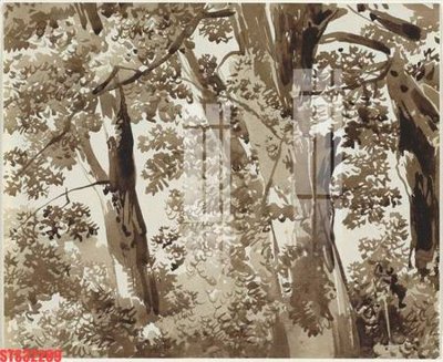 Ảnh gốc Tranh sơn dầu phương tây tổng hợp STS32289 (nét căng) in mica