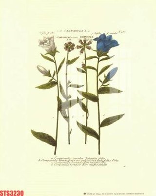 File gốc Tranh sơn dầu phương tây tổng hợp STS3230 (in mica) làm quà tặng