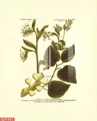 File gốc Tranh sơn dầu phương tây tổng hợp STS3238 (cho in ấn) độc quyền