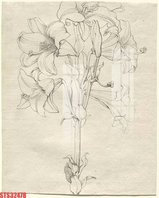 File gốc Tranh sơn dầu phương tây tổng hợp STS32478 (dành cho trang trí nội thất)