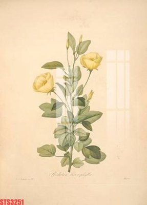 File tranh Tranh sơn dầu phương tây tổng hợp STS3251 (gốc) chủ đề thành phố