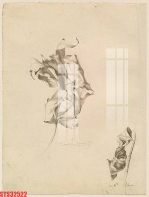 File tranh in mica Tranh sơn dầu phương tây tổng hợp STS32522 (độ phân giải cao)